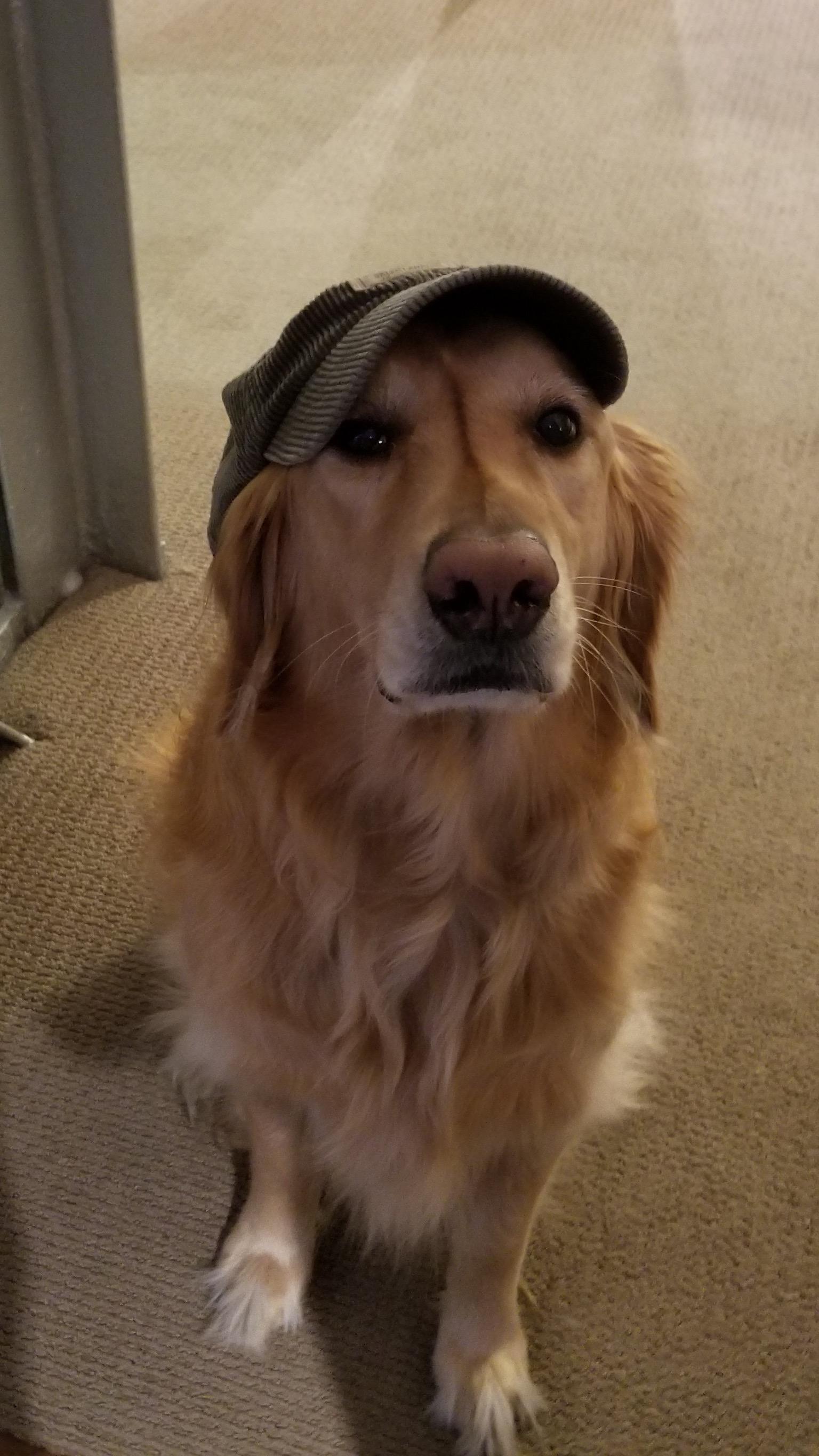Louie memory
